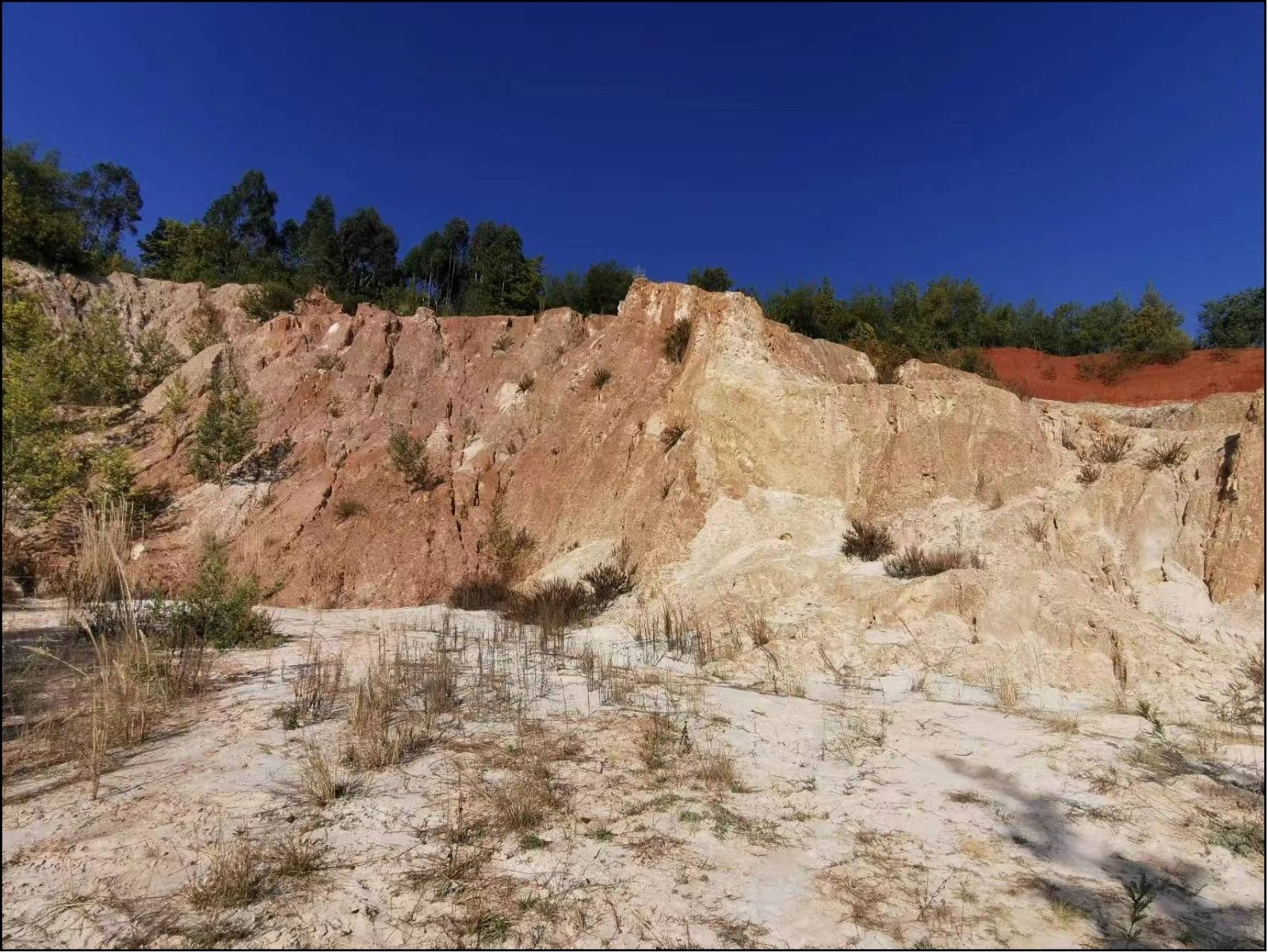 1691993590715.jpg 1691993590715.jpg