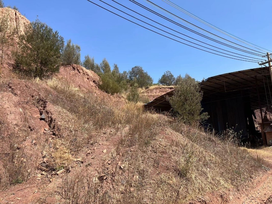 1693471772633.jpg 11.jpg