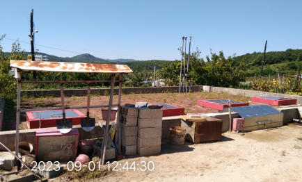 1701770343826.png 9e1f859f15229e69bdbbec4eeeb5141.png