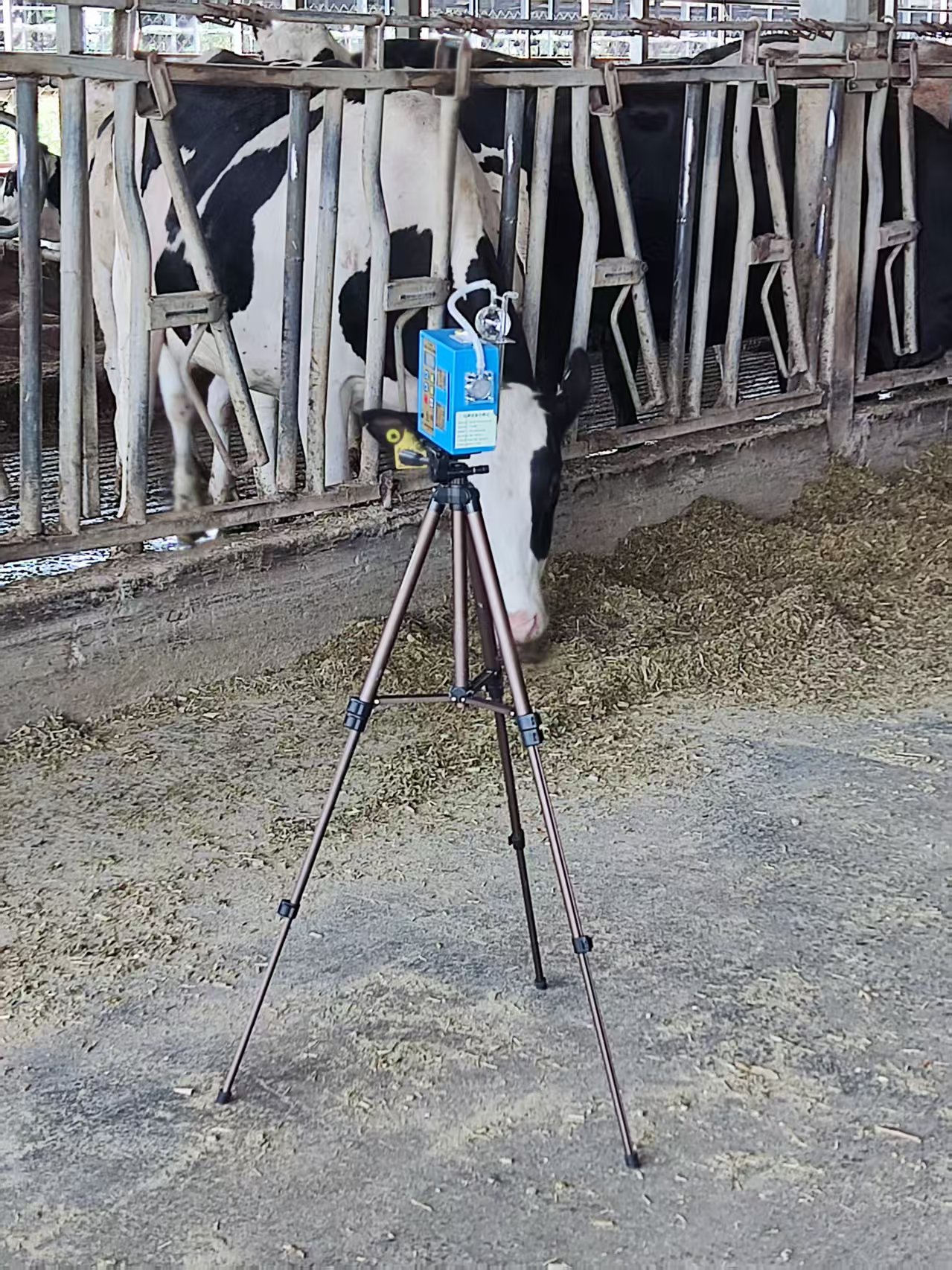 1752222362014.jpg 9f7ffe21d928b9771cecf31fdd5ceeb.jpg