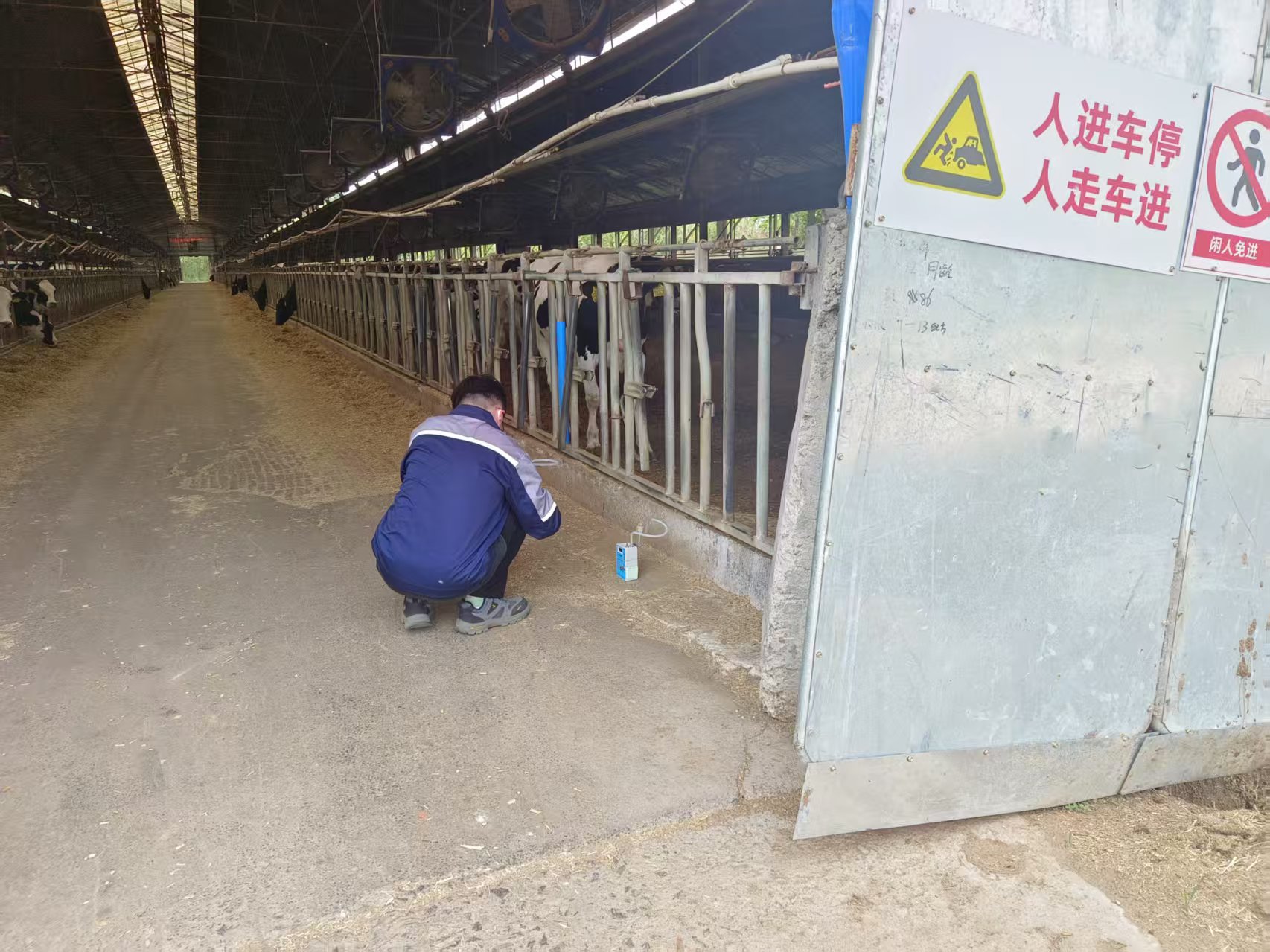 1752661286821.jpg e85cd12459b17259b2ee491a5a2b63e.jpg