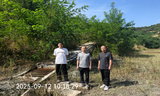 1764828501667.png 241(1).png