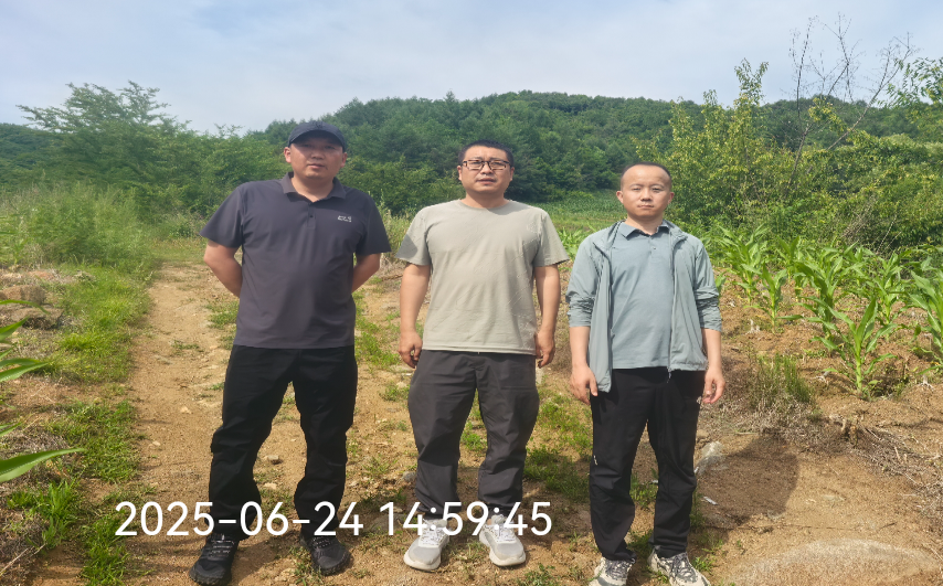 1766144291318.png 1111.png