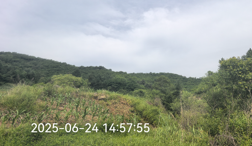 1766144327495.png 2222.png