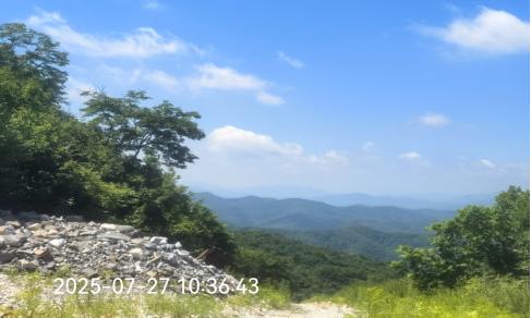 1766145833191.png image.png